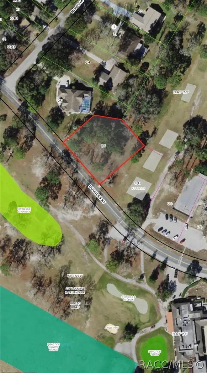 2 Douglas Street, Homosassa, FL 34446 - #2