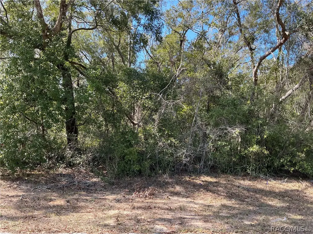 1534 W Magenta Drive, Citrus Springs, FL 34434 - #1