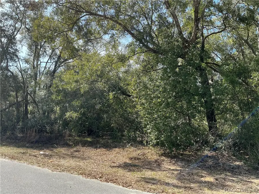 1534 W Magenta Drive, Citrus Springs, FL 34434 - #2
