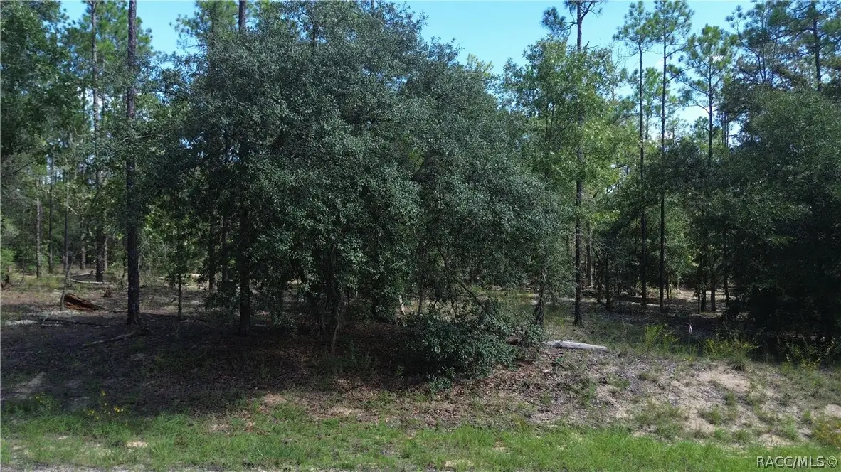 617 E Marquette Lane, Citrus Springs, FL 34434 - #1