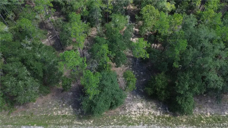 617 E Marquette Lane, Citrus Springs, FL 34434 - #2