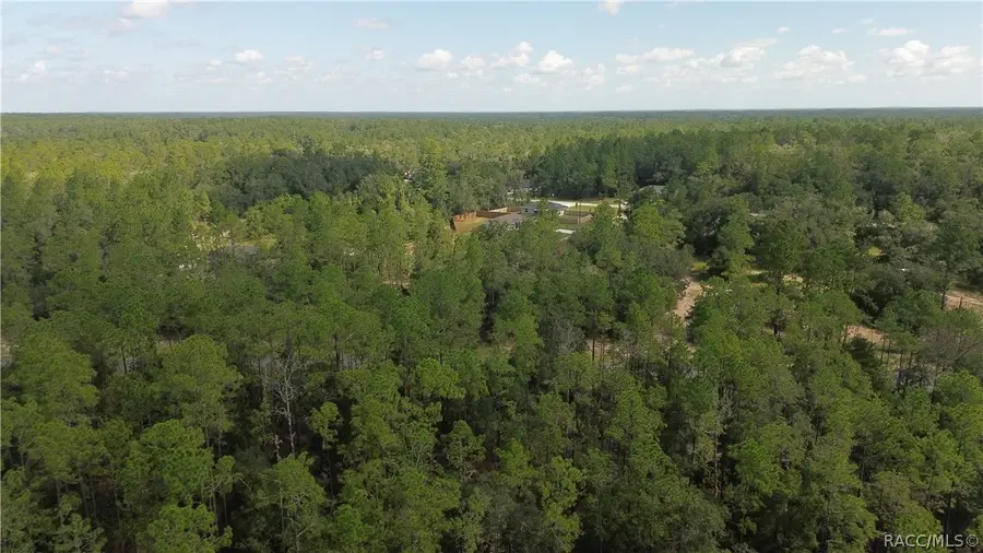 617 E Marquette Lane, Citrus Springs, FL 34434 - #3