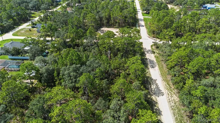 15281 Mottled Owl Road, Weeki Wachee, FL 34614 - #3