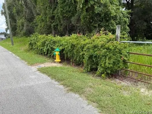 2662 E Norvell Bryant Highway, Hernando, FL 34442 - #3