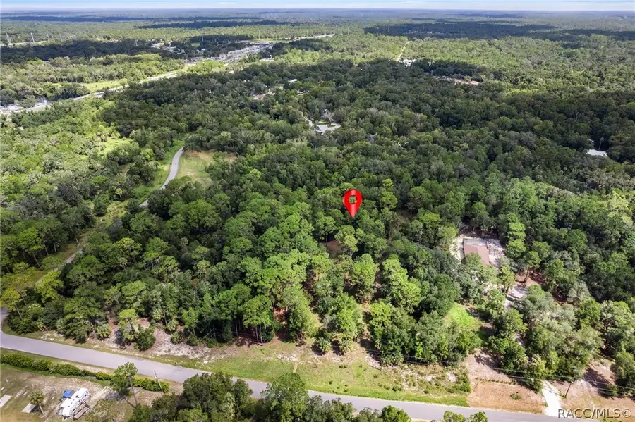 13707 W Foss Groves Path, Inglis, FL 34449 - #3