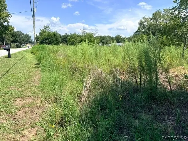 4008 E Allendale Street, Inverness, FL 34453 - #2