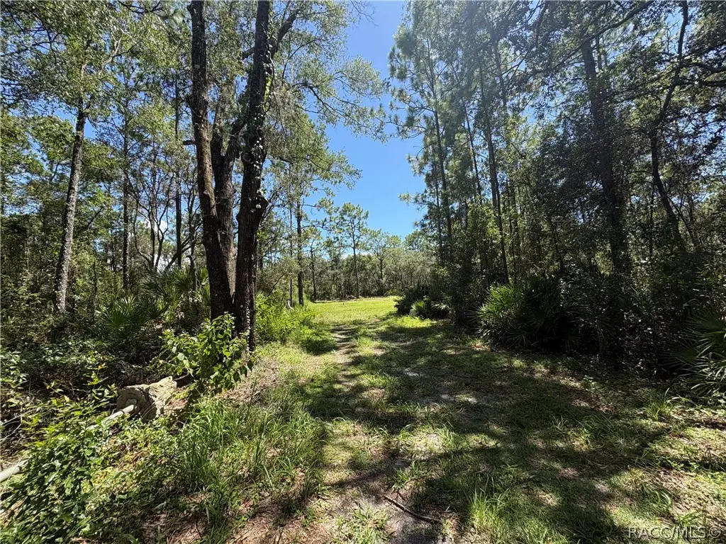 394 N Florene Point, Crystal River, FL 34429 - #1