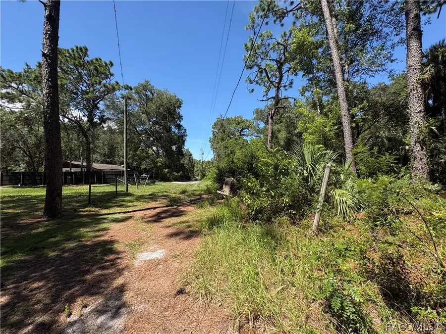 394 N Florene Point, Crystal River, FL 34429 - #2