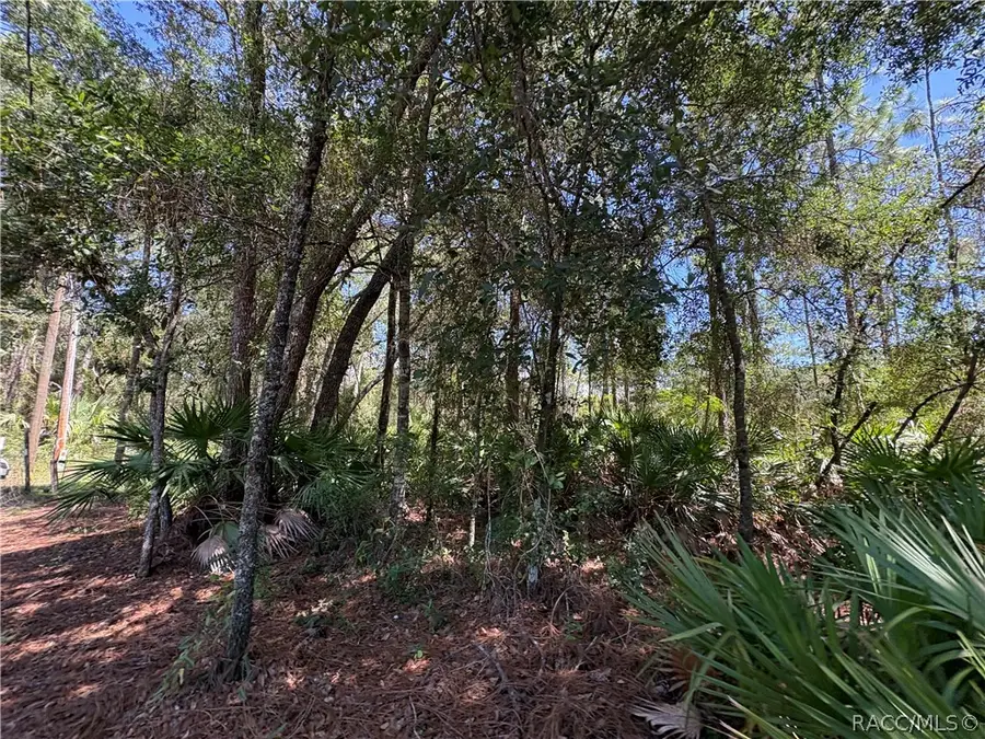 394 N Florene Point, Crystal River, FL 34429 - #3