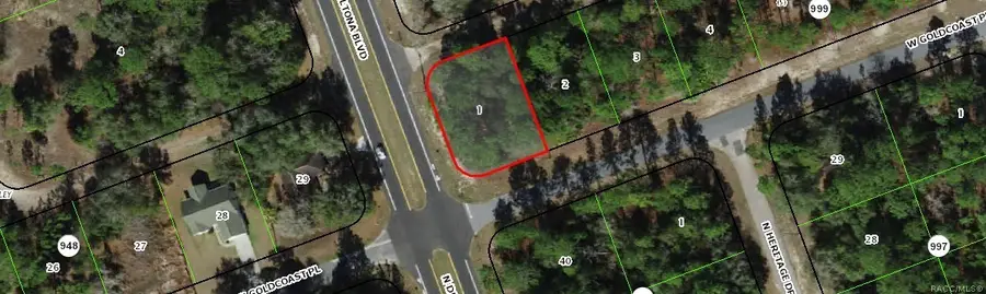 375 W Goldcoast Place, Citrus Springs, FL 34434 - #3