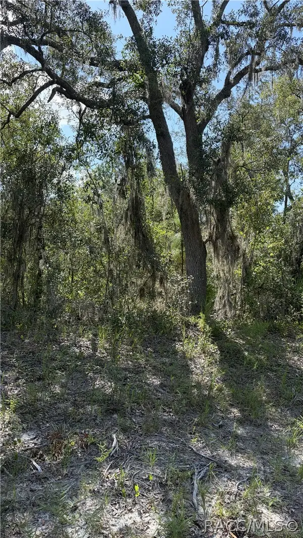2199 N Stampede Drive, Beverly Hills, FL 34465
