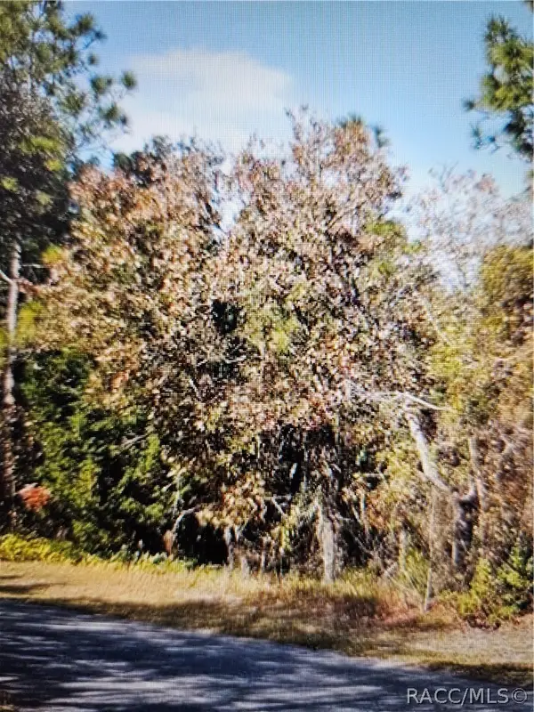 18 Longleaf Court, Homosassa, FL 34446