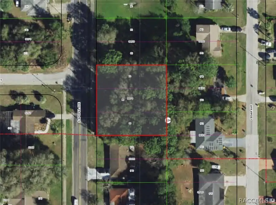 824 S Apopka Avenue, Inverness, FL 34452 - #2