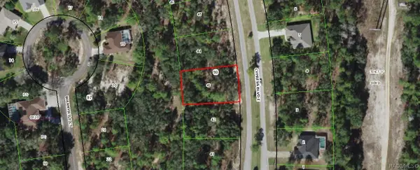 111 E Cypress Boulevard, Homosassa, FL 34446