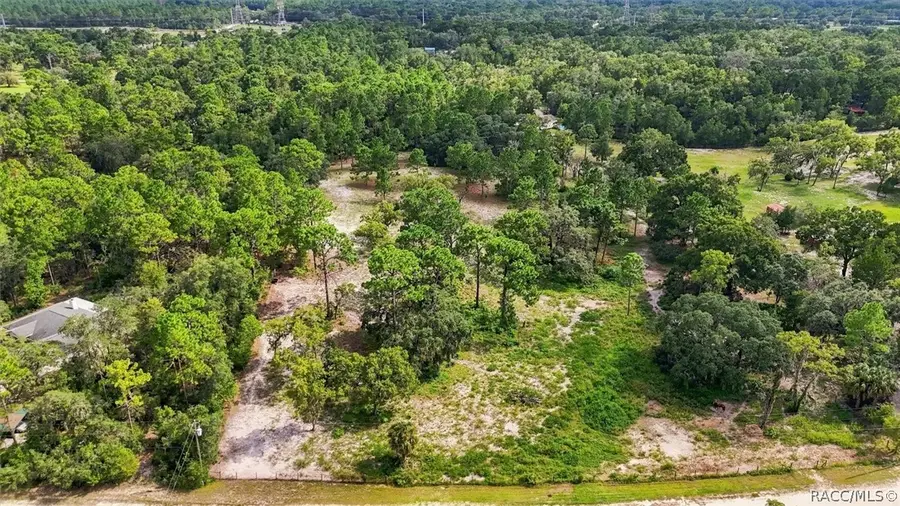 7532 W Newcastle Court, Dunnellon, FL 34433 - #2