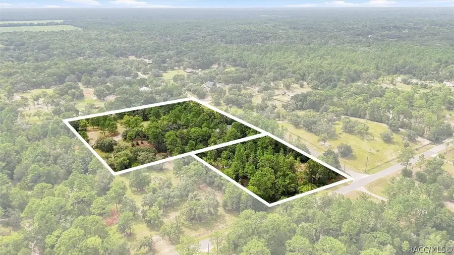 7532 W Newcastle Court, Dunnellon, FL 34433 - #3