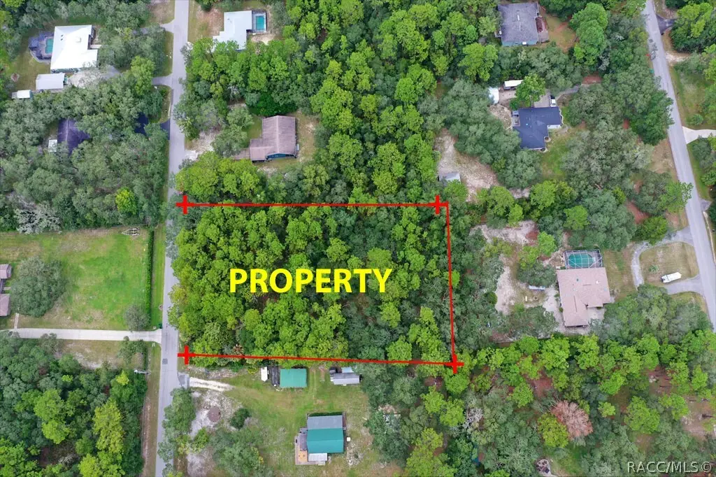 2659 S Bolton Avenue, Homosassa, FL 34448 - #1