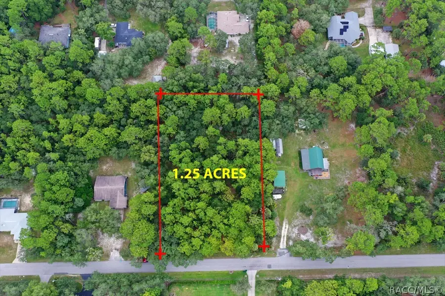 2659 S Bolton Avenue, Homosassa, FL 34448 - #2