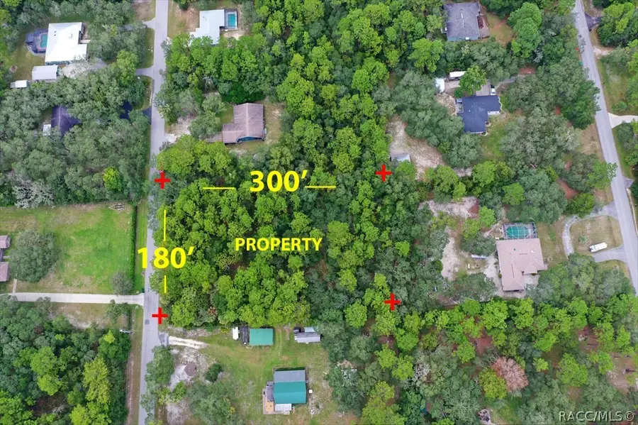 2659 S Bolton Avenue, Homosassa, FL 34448 - #3