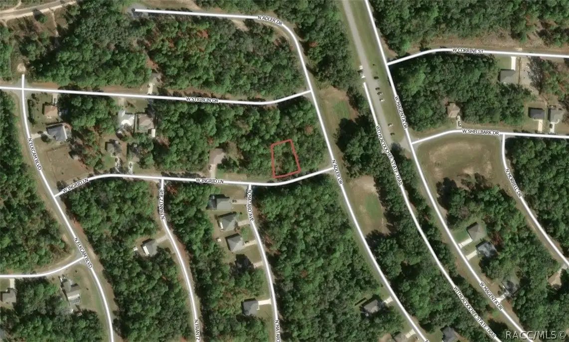 2219 W Ingrid Lane, Citrus Springs, FL 34434 - #1