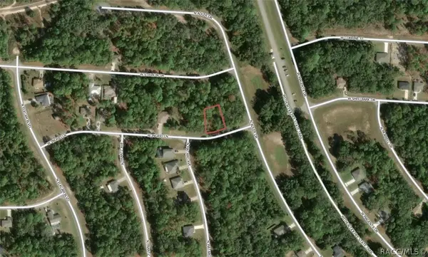2219 W Ingrid Lane, Citrus Springs, FL 34434