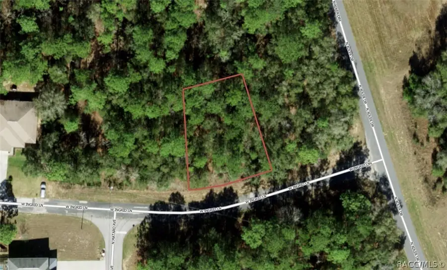 2219 W Ingrid Lane, Citrus Springs, FL 34434 - #2
