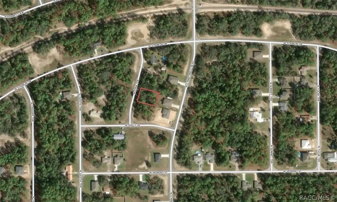 11155 N Edna Terrace, Citrus Springs, FL 34433 - #1