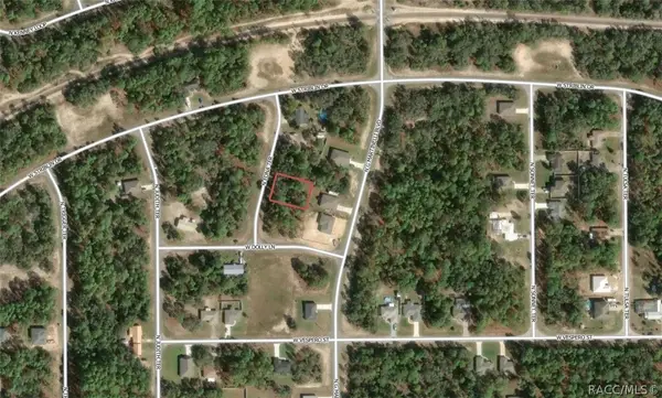 11155 N Edna Terrace, Citrus Springs, FL 34433