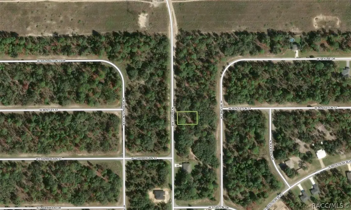 6719 N Varsity Avenue, Citrus Springs, FL 34434 - #1