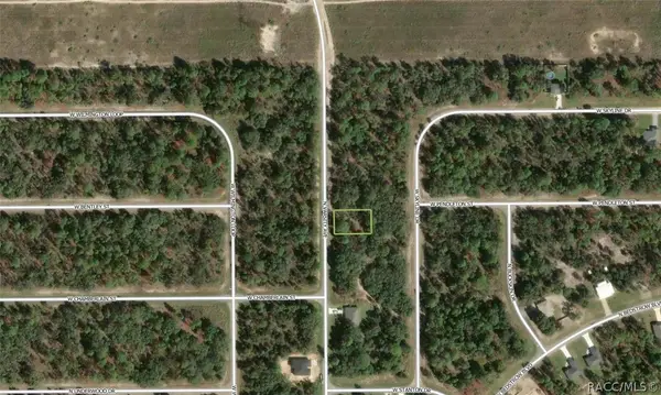 6719 N Varsity Avenue, Citrus Springs, FL 34434