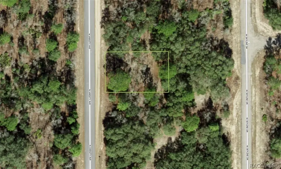6719 N Varsity Avenue, Citrus Springs, FL 34434 - #2