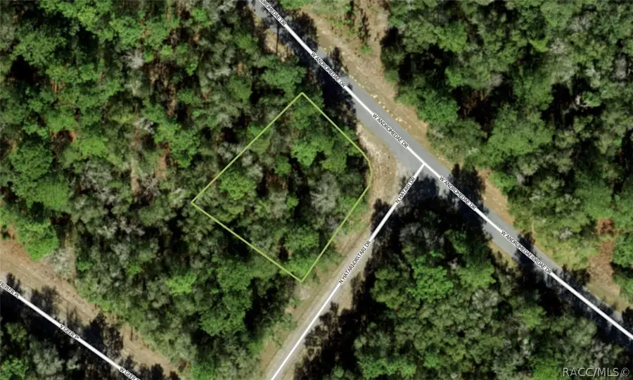 2130 W Andromedae Drive, Citrus Springs, FL 34434 - #2