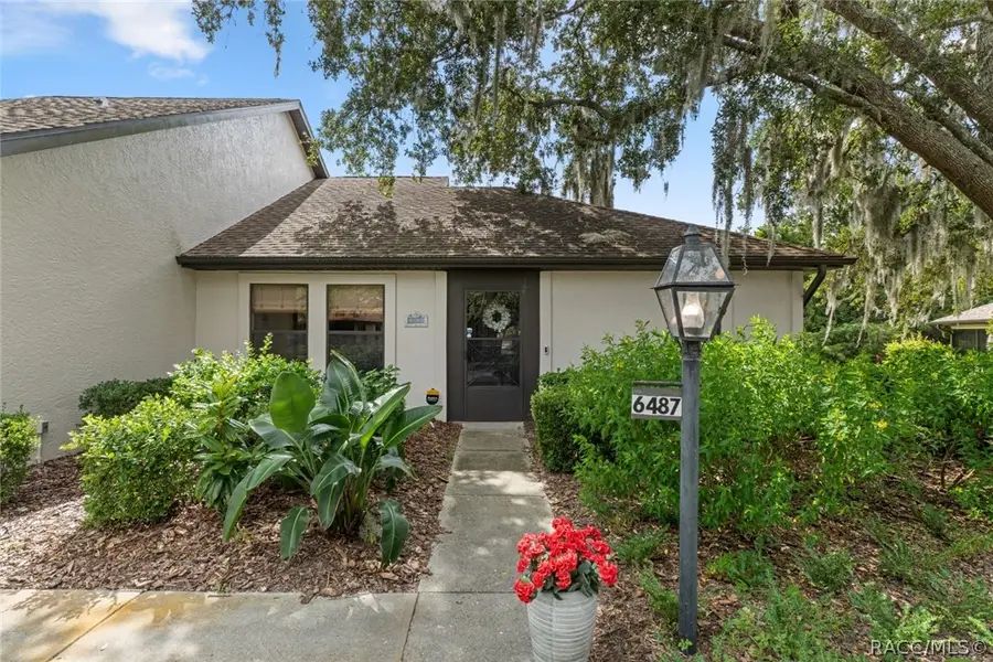 6487 W Lexington Drive, Crystal River, FL 34429 - #2