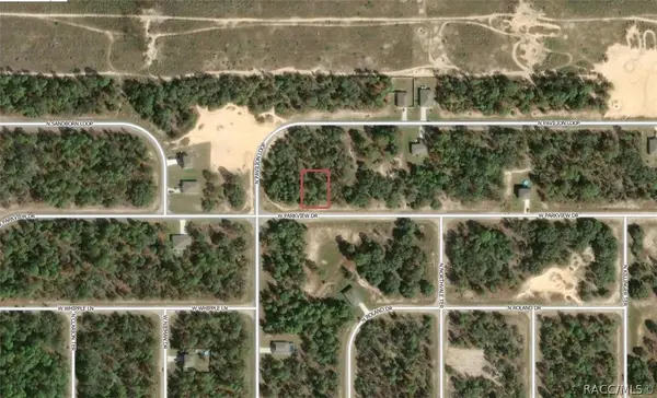 3453 W Parkview Drive, Citrus Springs, FL 34433