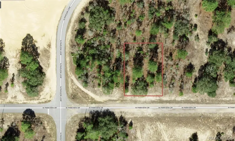 3453 W Parkview Drive, Citrus Springs, FL 34433 - #2