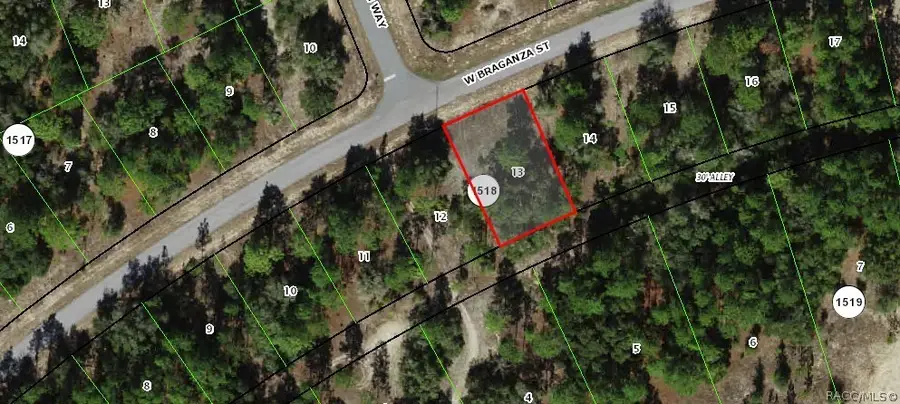 2596 W Braganza Street, Dunnellon, FL 34433 - #3