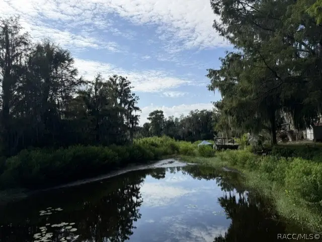 4218 E Lake Park Drive, Hernando, FL 34442 - #1