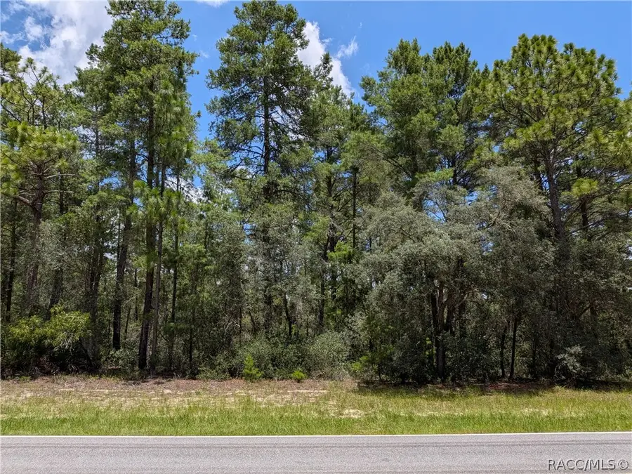 3737 W Century Boulevard, Dunnellon, FL 34433 - #2