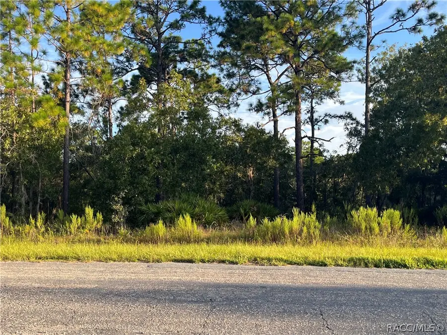 837 W Hummingbird Drive, Citrus Springs, FL 34434 - #2