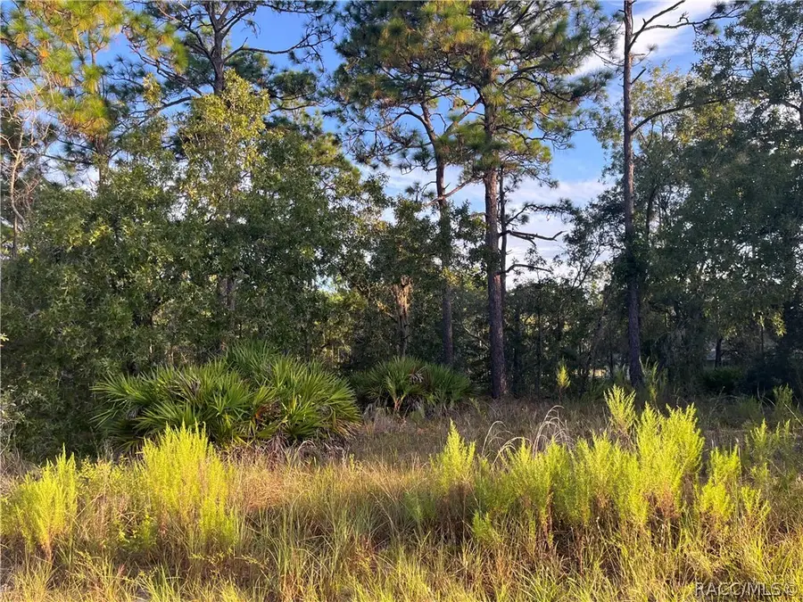 837 W Hummingbird Drive, Citrus Springs, FL 34434 - #3