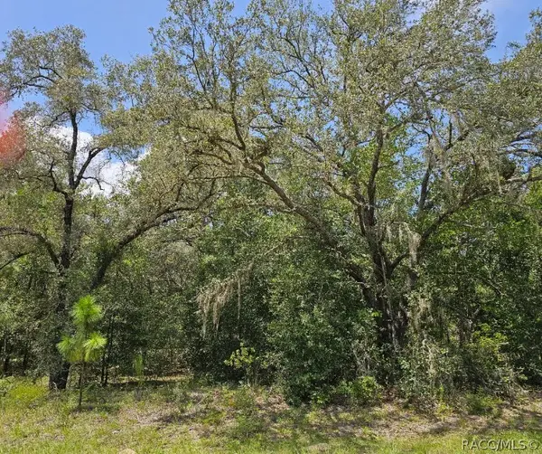 1368 W Evergreen Drive, Dunnellon, FL 34434