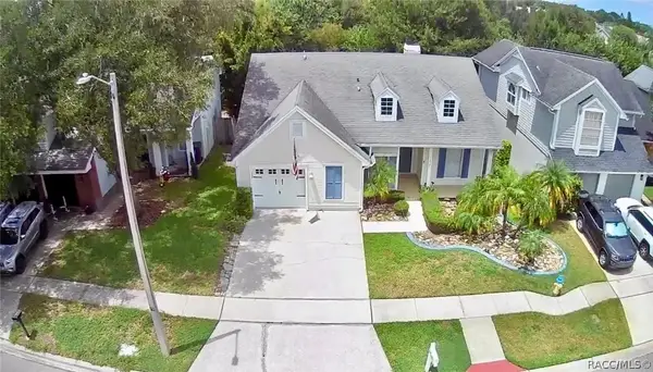 11838 Branch Mooring Drive, Tampa, FL 33635