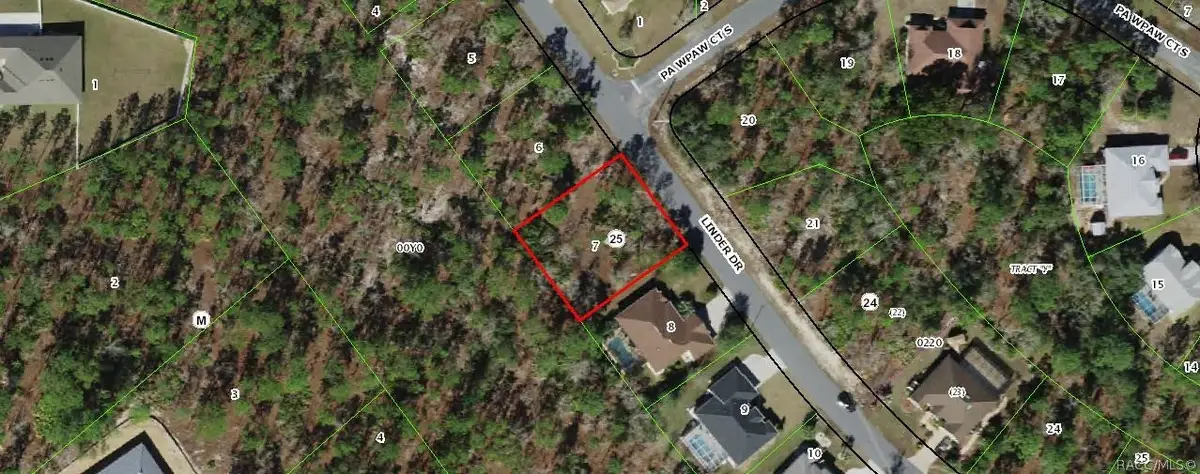 115 Linder Drive, Homosassa, FL 34446 - #1
