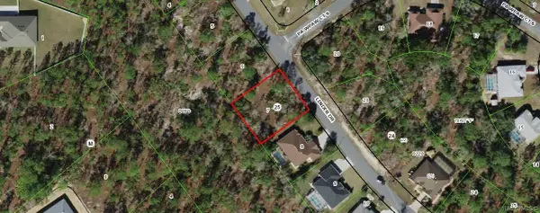 115 Linder Drive, Homosassa, FL 34446