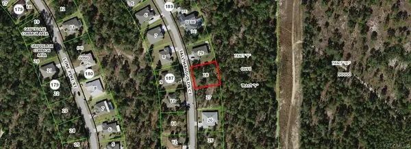20 Tall Marigolds Court, Homosassa, FL 34446