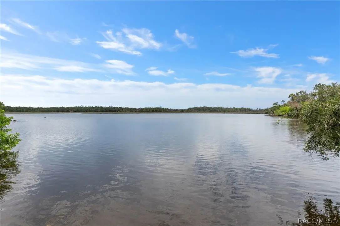 6929 S Haulover Point, Homosassa, FL 34448 - #1