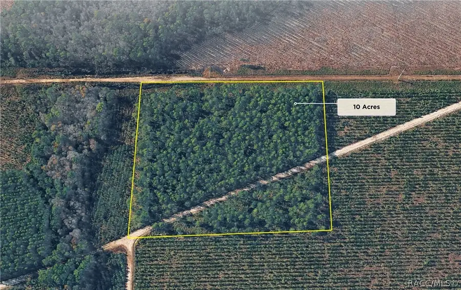 0 Highway 17s, Green Cove Springs, FL 32043 - #2