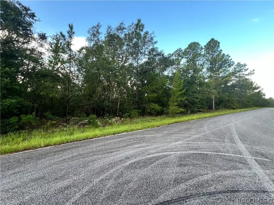 6538 N Whispering Drive, Dunnellon, FL 34434 - #3