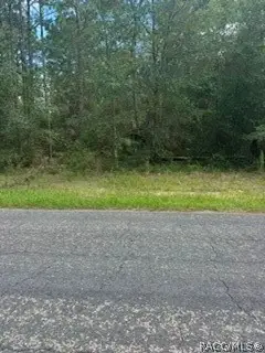 9546 N Travis Drive, Citrus Springs, FL 34434
