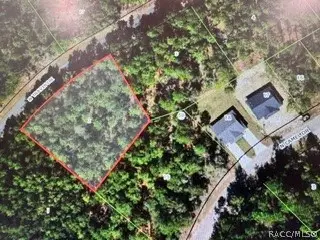 9546 N Travis Drive, Citrus Springs, FL 34434 - #3